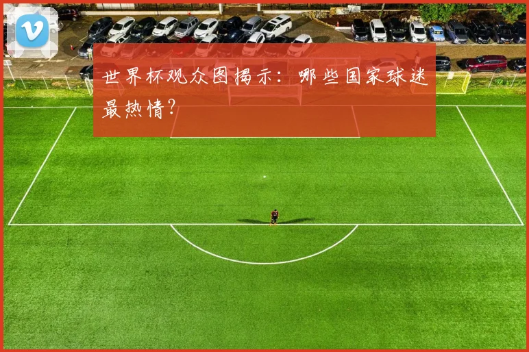 世界杯观众图揭示：哪些国家球迷最热情？