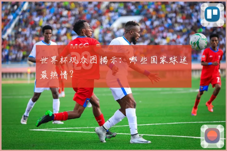世界杯观众图揭示：哪些国家球迷最热情？