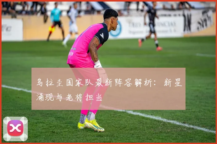 乌拉圭国家队最新阵容解析：新星涌现与老将担当