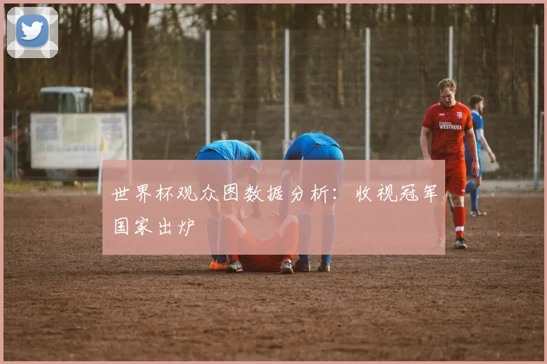 世界杯观众图数据分析：收视冠军国家出炉