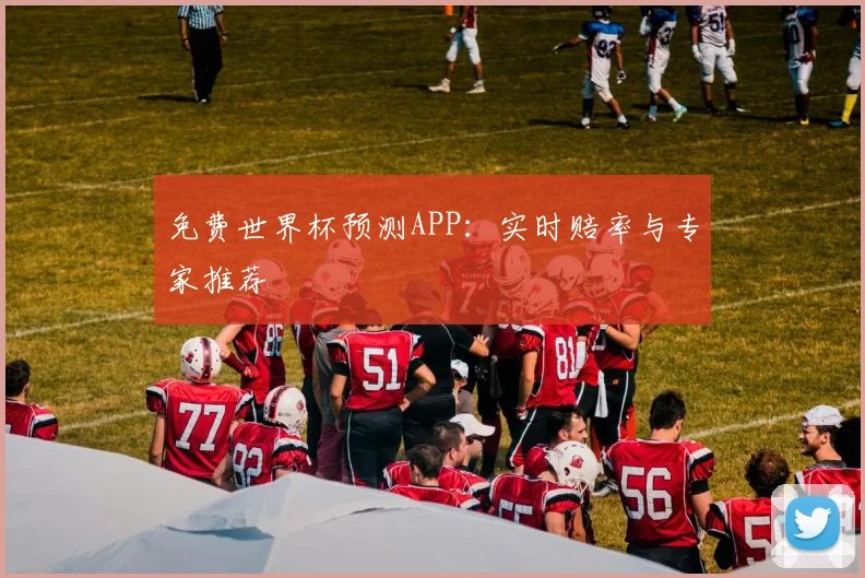 免费世界杯预测APP：实时赔率与专家推荐