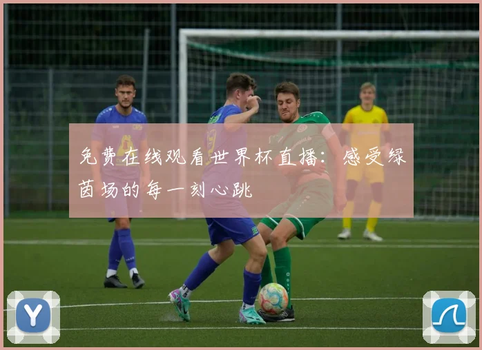 免费在线观看世界杯直播：感受绿茵场的每一刻心跳