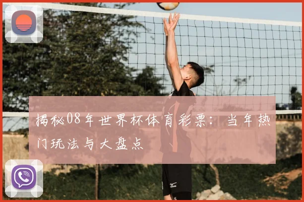揭秘08年世界杯体育彩票：当年热门玩法与大盘点